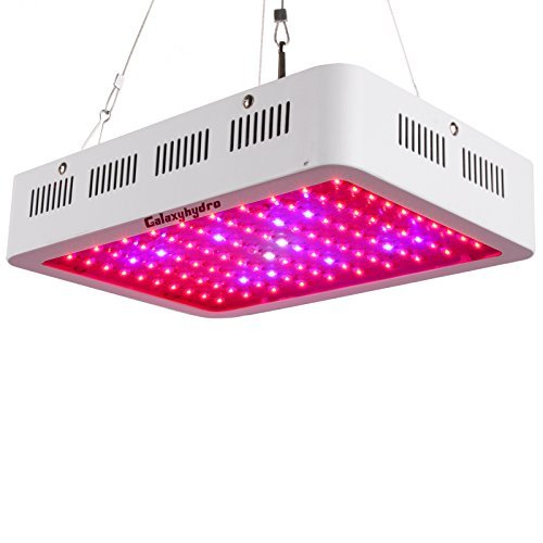 12 Best LED Grow Lights [ 2021 ] - Marijuana Beginners