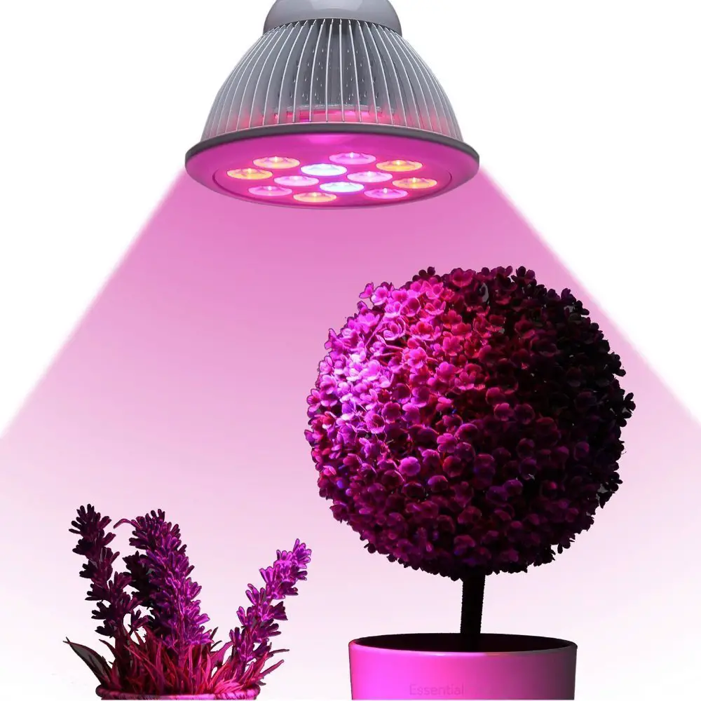 12 Best LED Grow Lights [ 2021 ] - Marijuana Beginners