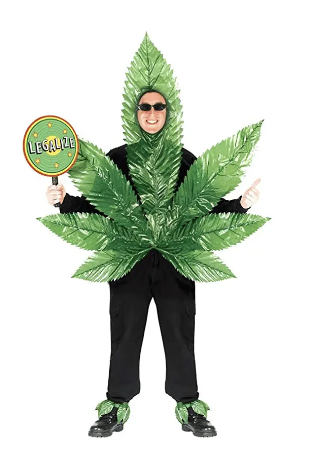 Weed Costumes For Adults
 27 Best Weed Halloween Costumes [ 2021 ] Marijuana Beginners