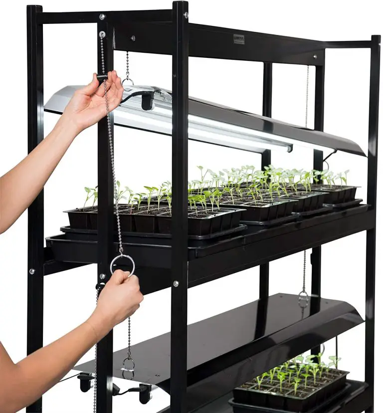 best cheap grow light for seedlings