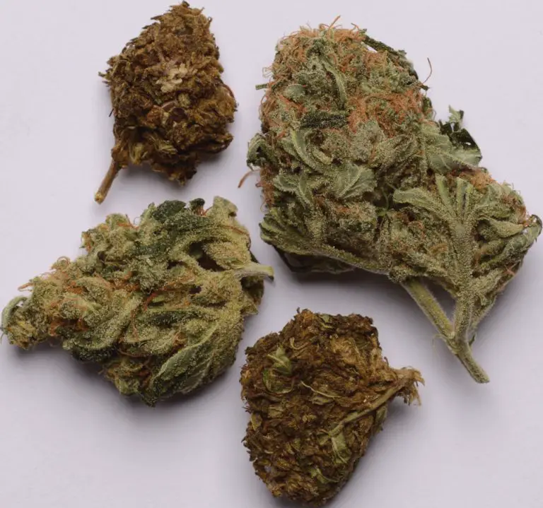 brown-weed-strains-marijuana-beginners